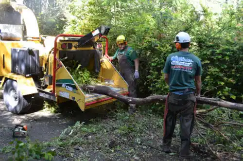 tree services Valley Head